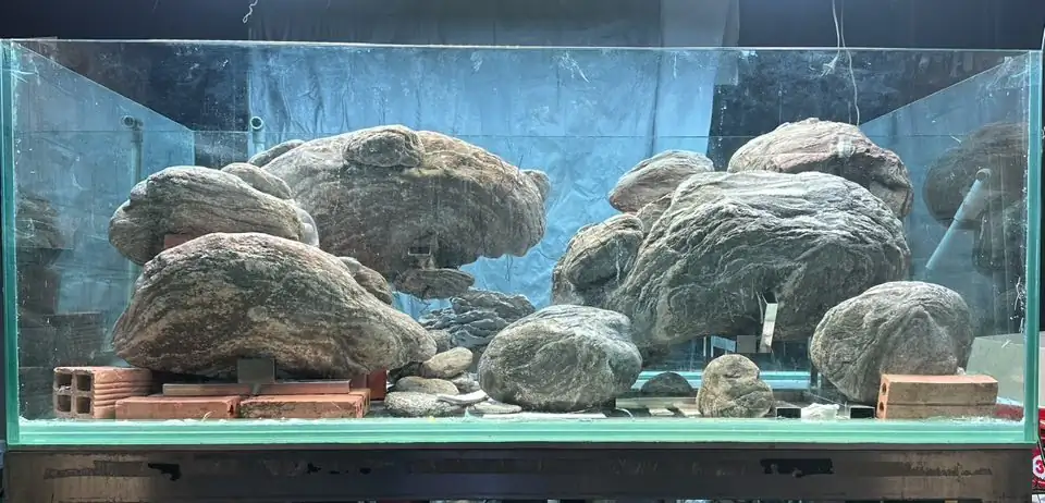 Aquascaping steps - Connecting - IAPLC 2025 Honor Prize - Long Tran Hoang / Vietnam